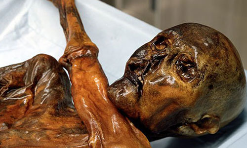 Südtiroler Archäologiemuseum