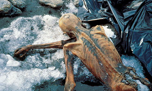 Südtiroler Archäologiemuseum