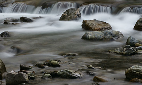 Naturmuseum Südtirol