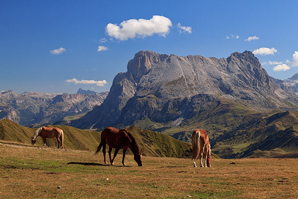 Reiterhof Unterlanzin