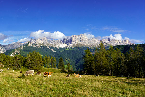 Wanderung über Völsegg zum Gasthaus Schönblick (Gfell)